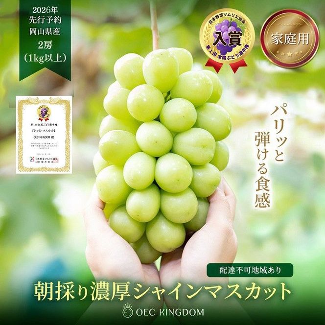 ぶどう 2026年 先行予約 ［ご家庭用］ シャイン マスカット 2房（合計1kg以上） ブドウ 葡萄 岡山県産 国産 フルーツ 果物 OEC KINGDOM ぶどう家 果物類 