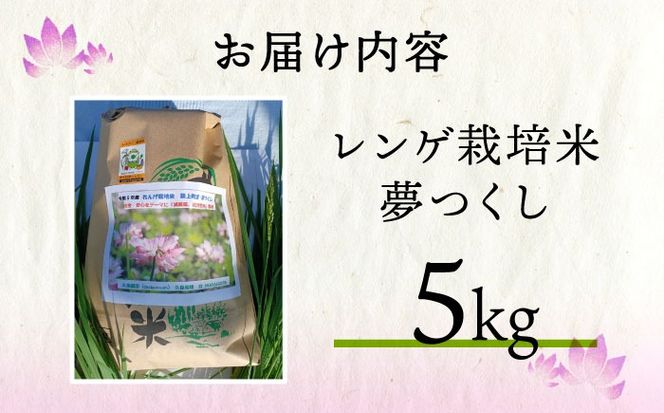 【先行予約】レンゲ栽培米 夢つくし 5kg 【2025年10月以降順次発送】《築上町》【久楽農園】 [ABAT001]