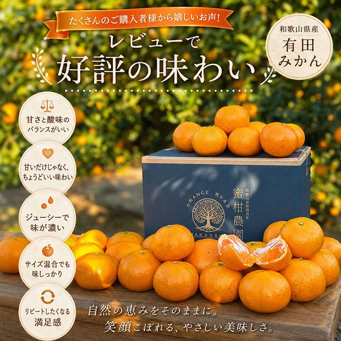 真農園 有田みかん 家庭用 約3kg 濃厚完熟 お試しサイズ （ご家庭用　2Sサイズ～Lサイズ混合）ORYY推奨_DA6108n