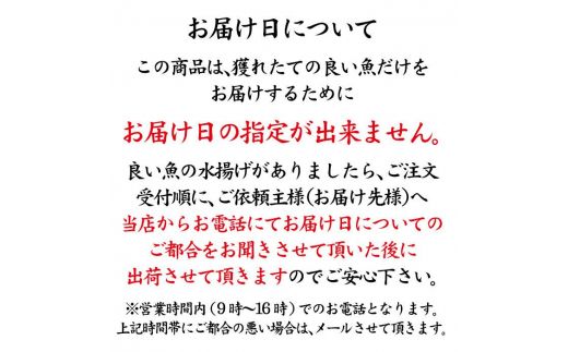 石川県・加賀市 旬の鮮魚 ( 刺身用/下処理済 ) 詰合せ 4～5種 復興　震災　コロナ【能登半島地震復興支援】 北陸新幹線 F6P-0974