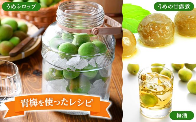 青梅 3kg 訳あり 紀州南高梅 シロップ・梅酒・梅干し用など 和歌山県有田産 2026年5月下旬～7月上旬発送予定   CE060