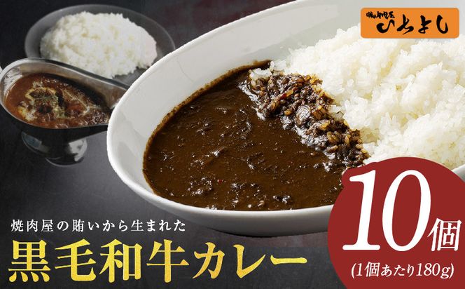 099H3724 焼肉屋の黒毛和牛カレー 180g×10個【レトルト 惣菜 お試し 本格かれー 簡単調理 防災 備蓄 小分け】