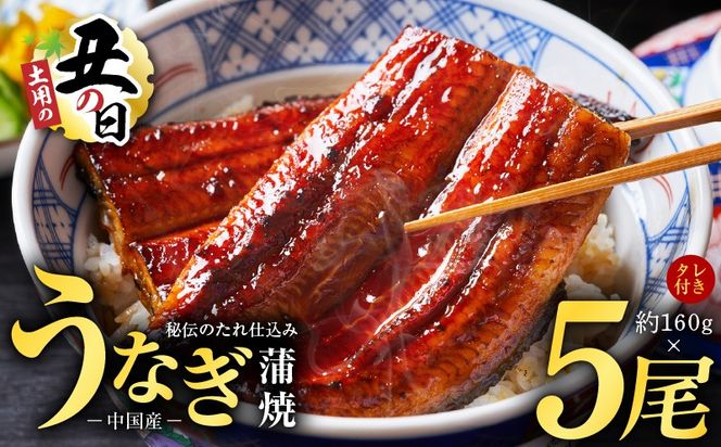 kgp0020-1d 【土用の丑の日までにお届け】うなぎ蒲焼 合計800g【約160g×5尾 特製タレ付 鰻 ウナギ 中国産 レンジ 温めるだけ 簡単調理 ふわふわ 炭火焼き 備長炭 手焼き】