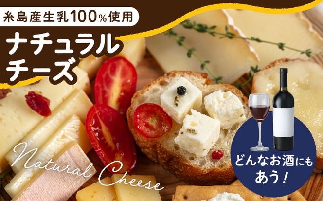 糸島産生乳100％使用 手作り チーズ 4種 TAKセレクト【ワイン】 糸島市 / 糸島ナチュラルチーズ製造所TAK-タック-[AYC015]