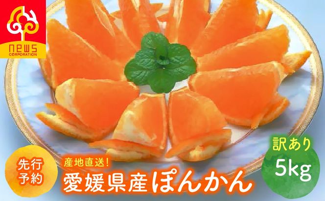 【先行予約】【訳あり】産地直送！愛媛県産ぽんかん 5kg（2027年1月上旬より順次発送）IKTF033