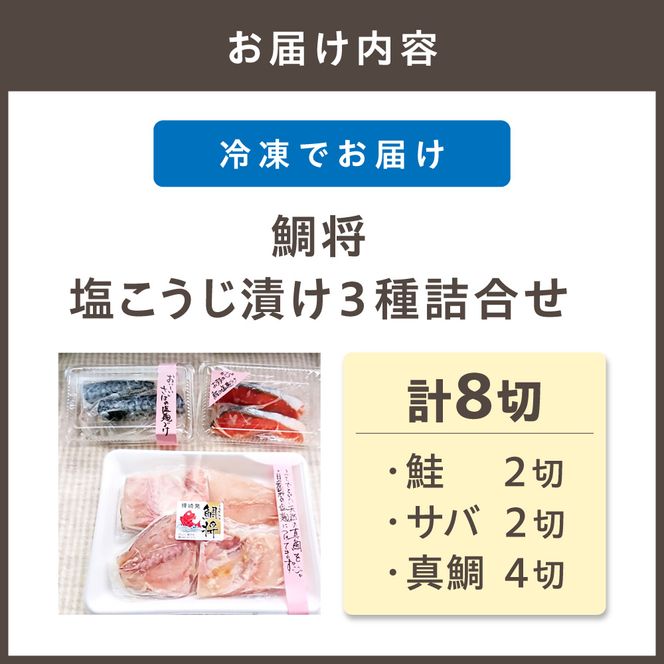 【道の駅むなかた】 鯛将 塩こうじ漬け３種詰合せ（鮭２切、サバ２切、真鯛４切）_HA1505
