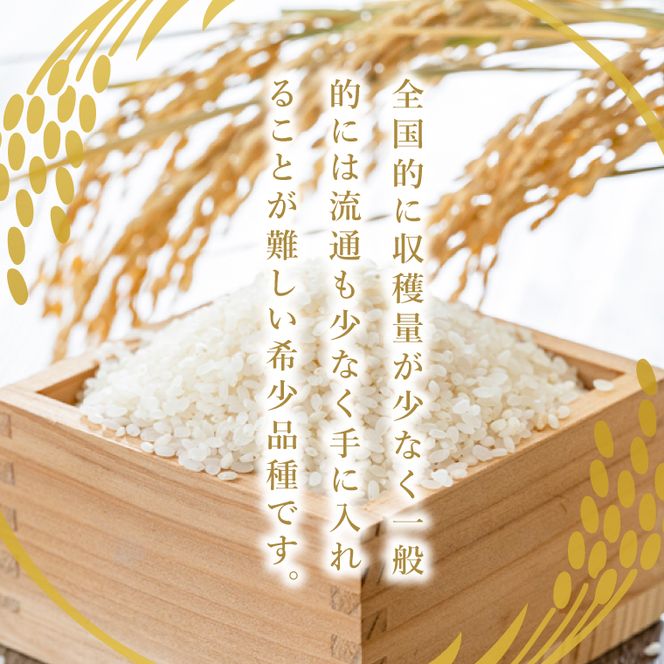 【ローズドール賞（最優秀賞）】大子産米 ゆうだい21 3kg｜茨城県 大子町 白米 希少品種 令和7年産 コンテスト グランプリ 最優秀賞 受賞米 数量限定（AV060）