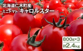 [先行受付] 北海道 仁木町産 ミニトマト キャロルスター 2.4kg （96粒～150粒）トマト 野菜 国産 プチトマト 甘み 使いやすい サラダ お弁当 家庭用 子供に人気 リコピン [REDA FARM]