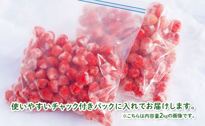【数量限定！完熟冷凍イチゴ】富良野 いちご 1kg（1kg×1袋）冷凍 フルーツ 苺 イチゴ 果物 新鮮 甘い 贈り物 ギフト 道産 おやつ ふらの