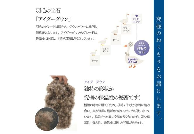 【甲州羽毛本掛けふとん】銀の糸×アイダーダウン95%二層本掛け アイボリー お任せカバー付き  【選べるサイズ】シングル/セミダブル/ ダブル/ クイーン/キング 掛け布団 ふとん 寝具 羽毛布団 本掛け 抗菌 抗ウイルス 回収キット付き 山梨 富士吉田