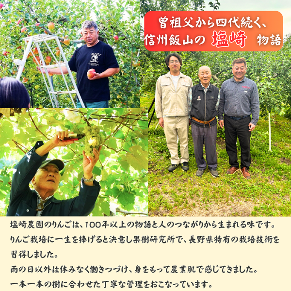 【先行予約│2026年10月下旬より順次発送】名月（めいげつ）【約3kg(6〜12玉)】(At-038)