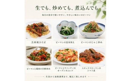 ピーマン 3kg P.SUKE（ピースケ）野菜 新鮮 みずみずしい 肉厚 料理 サラダ スティック野菜 野菜炒め 肉詰め 青椒肉絲 高知県 芸西村