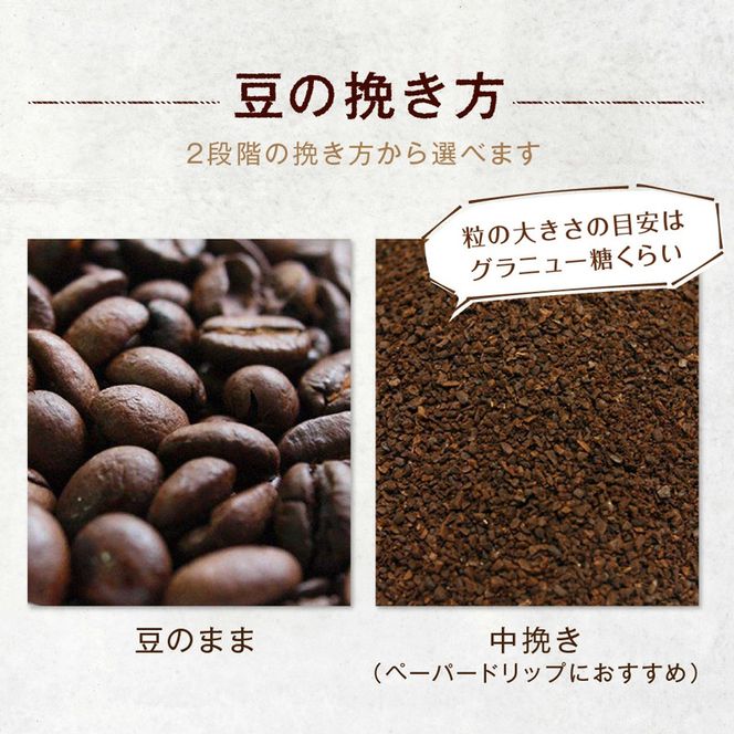 守口文禄堤珈琲 粉 計1.5kg ブラジル／コロンビア／ガテマラ／エチオピア産｜豊かな香り おいしい おうちカフェ 新鮮 香り コク 高級 プレゼント コーヒー鑑定士 厳選 大容量 [2594]