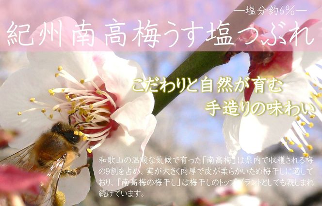 【定期便・3ヵ月毎 全3回】ご家庭用 紀州南高梅 うす塩 つぶれ 700g×2 ［YM15］ 303446_DX90032