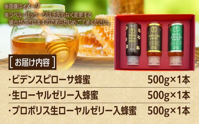 コハマのハチミツ 500g 3本セット 蜂蜜 はちみつ ハチミツ 国産 ギフト 年内発送 沖縄市 / 農業生産法人株式会社小浜養蜂場[BCAQ005] 