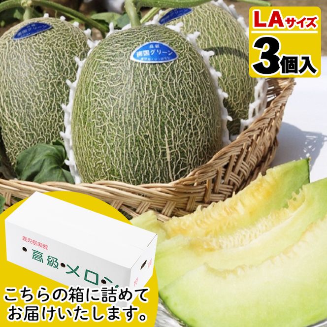 ＜先行予約受付中！2026年6月以降順次発送予定＞鹿児島県産！南国グリーンメロン(LAサイズ×3個) メロン めろん 果物 スイーツ デザート フルーツ【あくね旬の店いきいき館】akn015-16
