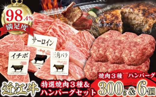 特撰近江牛おすすめ部位　焼肉3種300ｇ＆近江牛生ハンバーグ６個セット【FO41W】