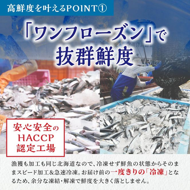 北海道産「刺身さんま」【12枚×4パック（24尾分）】