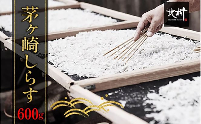 茅ヶ崎 しらす 生 新鮮 600g 網元 船 茹で上げ ゆでる 天日干し 白 透明 湘南 相模湾 朝獲れ  食卓  しらす丼 ポン酢 卵 海 漁 湯切り 濃厚 ふっくら 冷凍 神奈川県 茅ケ崎市