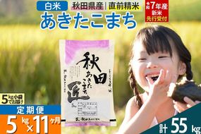 【白米】＜令和7年産 新米予約＞ 《定期便11ヶ月》秋田県産 あきたこまち 5kg (5kg×1袋)×11回 5キロ お米  新米|02_snk-010311s