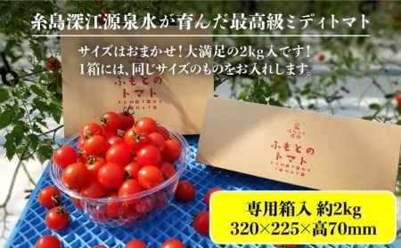 【先行予約】糸島二丈岳 【ふもとのトマト】サイズおまかせ 約2kg（専用箱入り）【2024年11月以降順次発送】 糸島市 / 株式会社さいかい [AFL002] トマト とまと