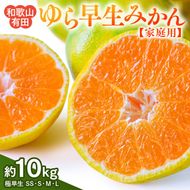 【先行予約】【ご家庭用 極早生】和歌山有田ゆら早生みかん約10kg(SS、S、M、Lサイズ) | 柑橘 みかん