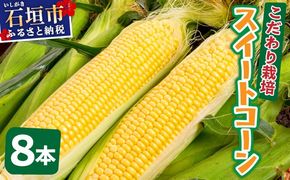 【先行予約2025年12月-2026年4月】 1番遅くて1番早い！？朝採れプレミアムスイートコーンを皮付きのまま８本お届け！！