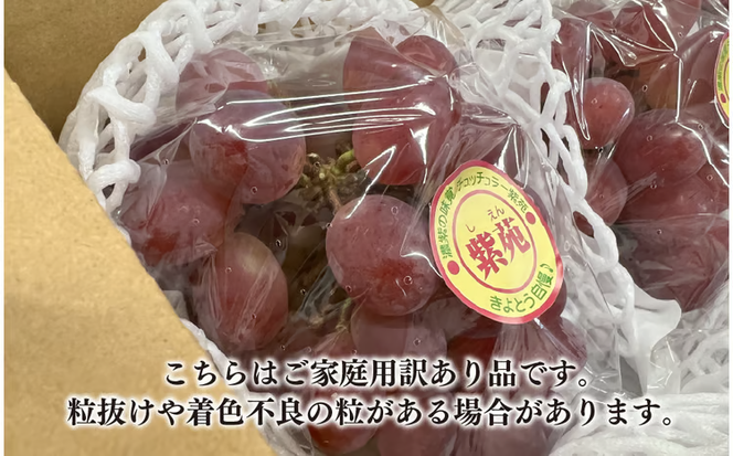 【2026年先行予約】訳ありご家庭用 紫苑(しえん)/ 約2.2kg (岡山県産) 【KF-B085-03】