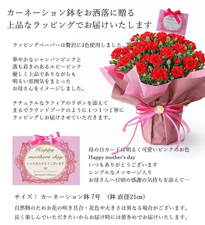 【母の日ギフト】鉢もの「カーネション7号レッド」」＜お届け日：2026年5/4～5/10 当店おまかせ ＞母の日カード付き【 母の日 ギフト アレンジ 花 カーネーション 贈り物 大阪府 門真市 】 272230_BG071VC01