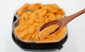 2ヵ月 定期便 うに ロシア産 バフンウニ 塩水パック 100g×2 【マルタク水産】[ 雲丹 ウニ 新鮮 海産物 冷蔵 濃厚 甘い ] 