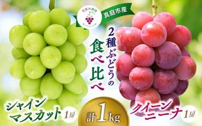 【2026年先行予約】岡山 花笑み農園の『シャインマスカット＆クイーンニーナ』 1㎏（2房） 【hana066-02】