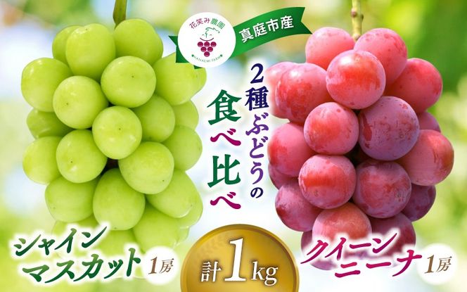 【2026年先行予約】岡山 花笑み農園の『シャインマスカット＆クイーンニーナ』 1㎏（2房） 【hana066-02】