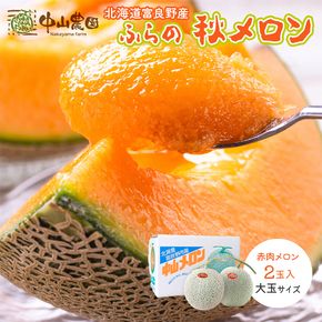 テレビで紹介されました！【2027年秋発送】北海道 富良野産 赤肉 秋メロン 2玉 計3.2kg以上 大玉サイズ メロン