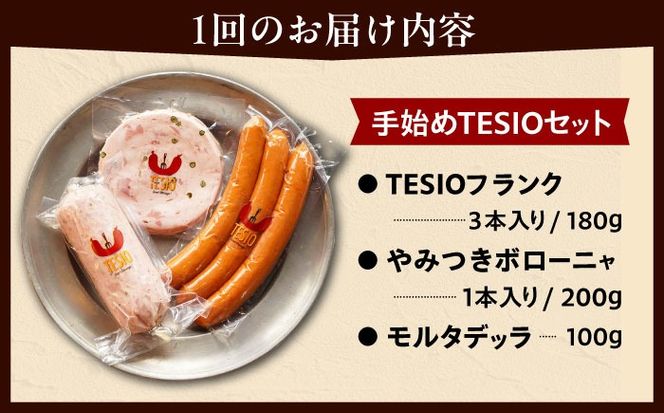 【全3回定期便】TESIOの自家製ハム＆ソーセージ 『手始めTESIOセット』 豚肉 ハム ソーセージ 小分け 真空パック 沖縄市 / TESIO[BCAD007]
