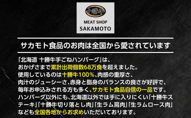 北海道 十勝牛 手ごねハンバーグ 200g×3個【 セット 牛100% 国産牛 牛肉 ハンバーグ 惣菜 小分け 冷凍 牛肉100% 大きい 国産 北海道 十勝 幕別 ふるさと納税 送料無料 】