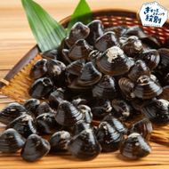 12-189 冷凍砂出ししじみ　5袋セット