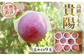【2025年発送分 先行予約】貴陽（L）9玉　すもも プラム スモモ 李 くだもの 果物 やまなし 山梨フルーツ 産地直送 富士川町