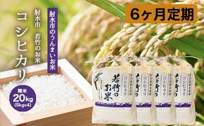 【6ヶ月定期便】【射水市】【射水の美味しいお米】若竹のお米 R8年度産コシヒカリ20kg（5kg×4） | 新米 先行予約 令和8年産米 ブランド米 こしひかり 銘柄米 こめ 白米 富山県 ※離島への配送不可 ※2026年10月上旬～10月下旬頃に順次発送予定
