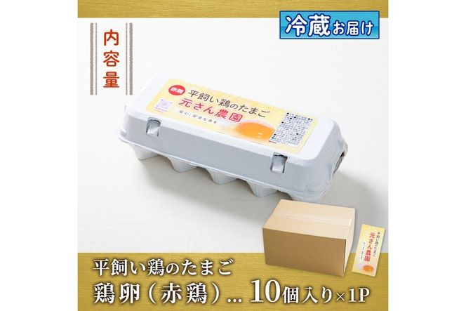 ＜お試し用＞ 平飼い赤鶏のたまご (計10個) 元さん農園 卵 玉子 卵かけご飯 玉子焼き 平飼い 鶏 鶏卵 養鶏場直送送 朝採れ 新鮮 大分県 佐伯市 【GE002】【 (株)海九】