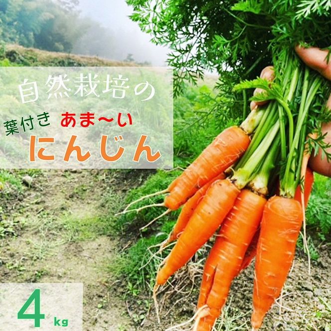 【格安saleスタート】 生牧草オーツヘイ 人参葉 小動物おやつ たんぽぽの葉っぱ フード・おやつ