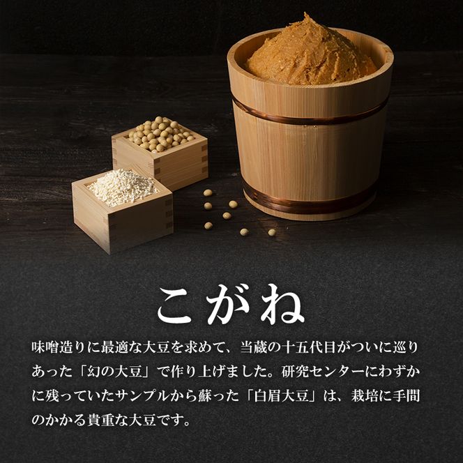 味噌 山吹味噌 こがね 5kg （1kg×5袋） セット 信州味噌 みそ ミソ 熟成 信州 信州みそ 調味料 小分け 長野県 長野 