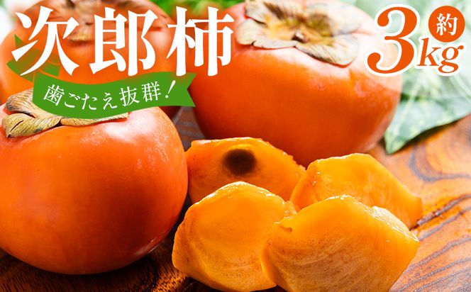 【2026年10月下旬より順次配送】次郎柿 3kg くだもの 果物 フルーツ 柿 かき カキ ３きろ ３キロ 美味しい 栄養 高知県 香南市 nm-0003