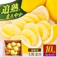 【先行予約】土佐文旦の創始 宮地文旦園の土佐文旦 家庭用3L 大玉 約10キロ 16～19個入り 10kg〈2027年3月上旬～4月下旬〉 ぶんたん ブンタン フルーツ 柑橘 みかん 果物 くだもの 柑橘類 高知県 土佐市【宮地文旦園】[BQBP008]