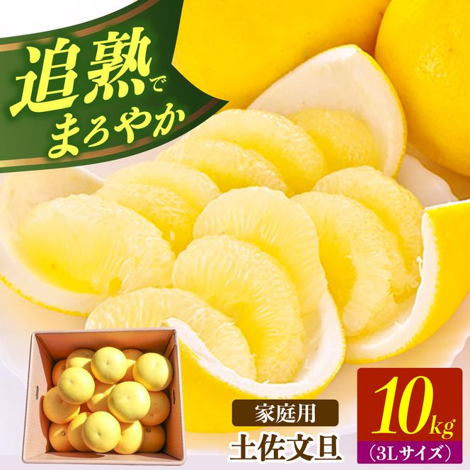 【先行予約】土佐文旦の創始 宮地文旦園の土佐文旦 家庭用3L 大玉 約10キロ 16～19個入り 10kg〈2027年3月上旬～4月下旬〉 ぶんたん ブンタン フルーツ 柑橘 みかん 果物 くだもの 柑橘類 高知県 土佐市【宮地文旦園】[BQBP008]