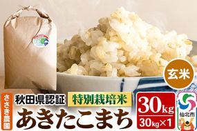 あきたこまち（玄米）30kg×1袋 米 令和7年産 秋田県認証 特別栽培米 [玄米 あきたこまち アキタコマチ 秋田小町 産地直送 産直 お取り寄せ ごはん ご飯]|02_ssn-a23001