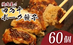 ヤマジュウの特選！四万十ポーク手作り餃子６０個　yj068