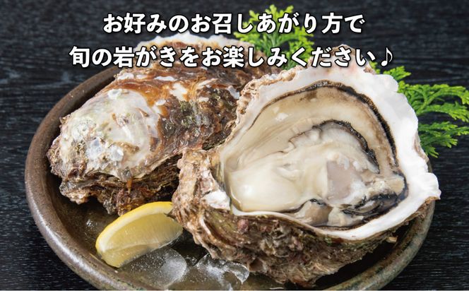 鳥取賀露港 天然岩がき「夏輝」セット【かねまさ・浜下商店】 312011_AZ002