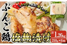 大分県産 ぶんご鶏の自家製塩麹漬け(計1.26kg・210g×6枚)国産 鶏肉 ステーキ タンパク質 簡単 調理 冷凍 大分県 佐伯市【AN109】【ぶんご銘醸 (株)】