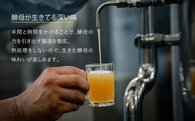 あわぢびーる詰め合わせ２４本《淡路島のクラフトビール》　飲み比べ ビール