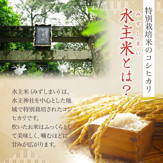 令和8年新米エコファーマー認定農家の地域ブランド米(水主米) 精米10kg お米 コシヒカリ 香川県 香川 東かがわ市 